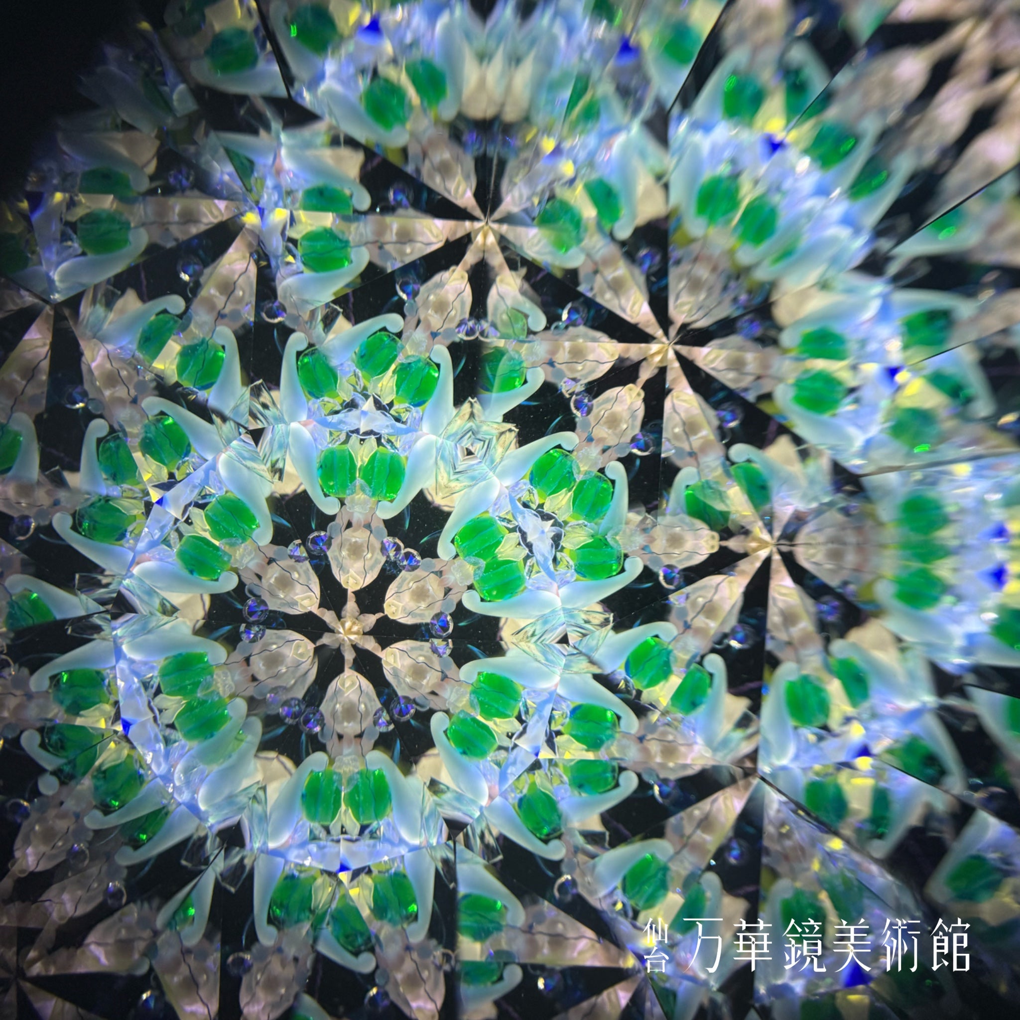 Flower Poppy Kaleidoscope