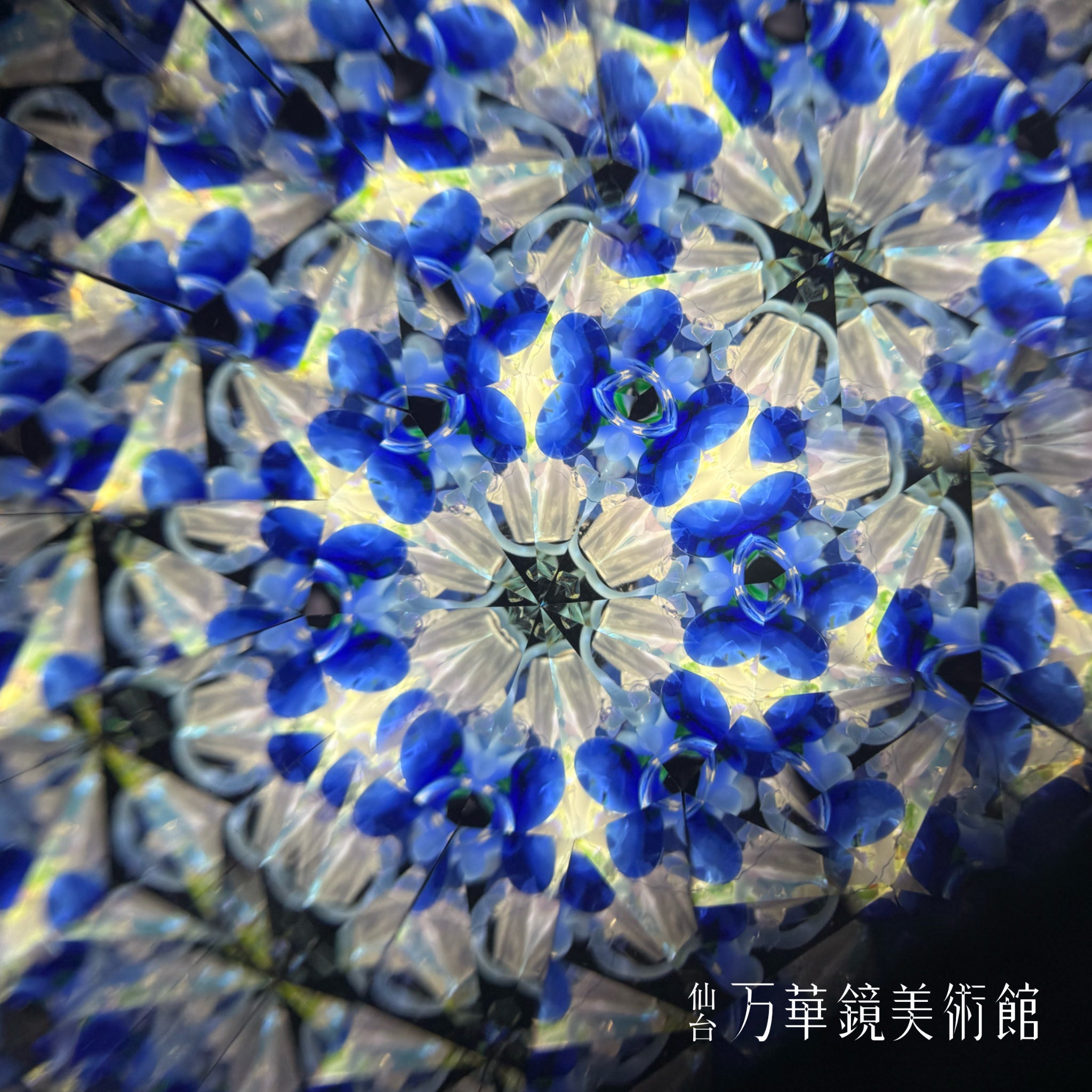 Flower Poppy Kaleidoscope