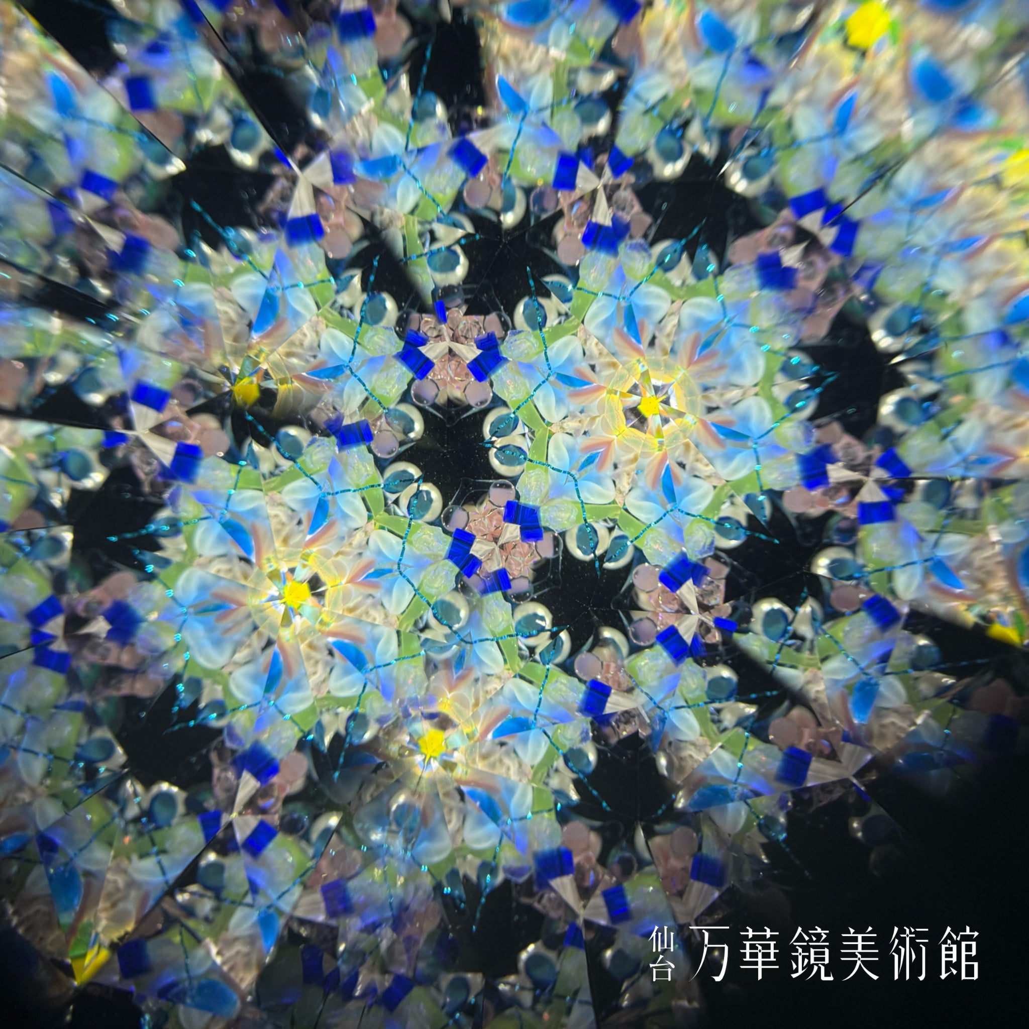 Flower Poppy Kaleidoscope